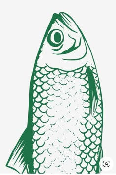 a drawing of a fish with an eye on it's side and the bottom part of its body