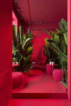 a room with red walls and plants in the center, along with pink flooring