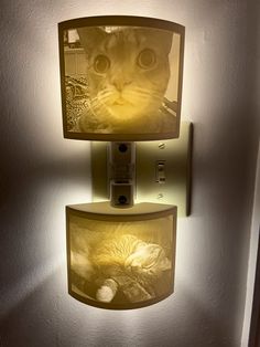 two lights that are on the wall with a cat in it's head and one light is turned on