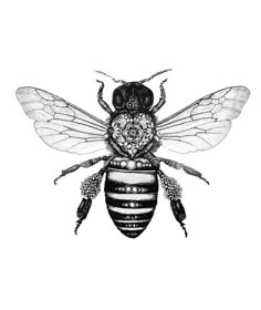 Honey Bee Tattoo, Tattoo Diy, Kunst Tattoos, Star Wars Tattoo, Elephant Tattoo, Diy Tattoo