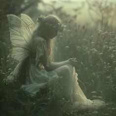 a fairy sitting in the grass with her wings spread out and looking down at something