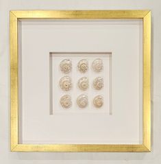 an image of seashells in a gold frame on the wall with white background