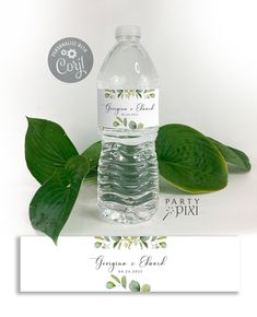 a bottle of water sitting next to some green leaves