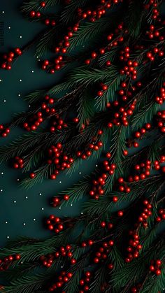 red berries are hanging from the branches of a pine tree in front of a dark background