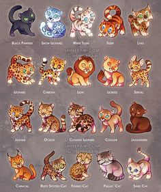 the different kinds of cats are depicted in this cartoon character's art style poster