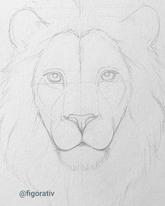 a drawing of a lion's face with the head turned to look like it is in