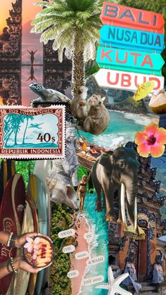 the collage is made up of many different pictures and words, including an elephant