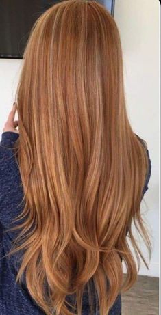 Natural Copper Hair With Highlights, Highlights On Orange Hair, Red Heads With Highlights, Haircut Ideas For Long Hair Face Shapes, Sunrise Blonde Hair, Blond Roux Hair, Ginger Hair Color Copper Strawberry Blonde, Light Red Hair With Highlights, Dimensional Ginger Hair