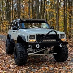 an off - road vehicle is parked in the woods with leaves on the ground around it