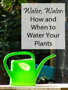 a green watering can with the words water, water how and when to water your plants