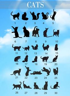 the silhouettes of cats are shown on a blue sky background