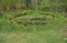 an area with grass, flowers and trees in the background is surrounded by tall grasses