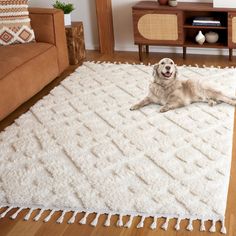 a dog laying on top of a white rug