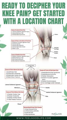 Medial Knee Pain, Anatomy Of The Knee, Knee Pain Relief Remedies, Pain Relief Remedies, Ligament Injury, Knee Pain Relief, Medical Anatomy