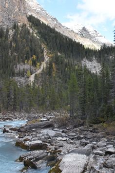 a river flowing through a forest filled with rocks and trees on the side of a mountain