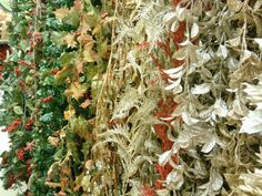 a wall covered in lots of different types of leaves and plants next to each other