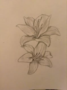 a pencil drawing of a flower on a piece of paper