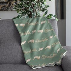 a green and white blanket sitting on top of a couch next to a potted plant