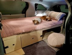 a dog laying on top of a bed in the back of a van