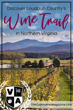 a vineyard with mountains in the background and text overlay that reads, discovery county's wine trail in northern virginia