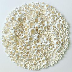 a circle made out of small white objects