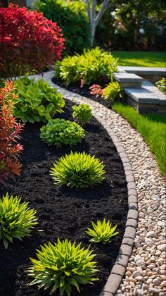 Best Backyard Mulch Ideas for a Beautiful Landscape Brown Mulch Landscaping, Mulch Backyard, Mulch Ideas, Shark Printables, Brown Mulch, Backyard Landscaping Ideas, Plant Health