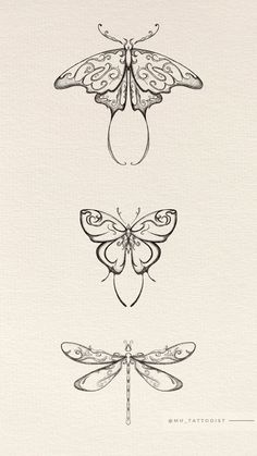 three different types of dragonflies on a white paper with the words, i love them