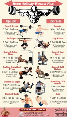 a poster showing the different exercises to do in a bodybuilding workout plan for beginners