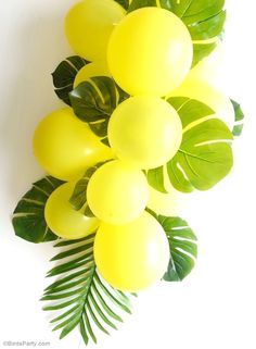 yellow balloons and green leaves on a white background