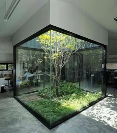 an office with glass walls and plants inside