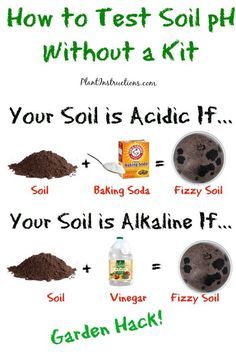 how to test soil ph without a kit for your soil is alkane f