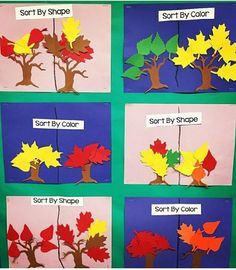 the four different types of leaves are shown in this bulletin board with words that read sort by shape, sort by color and sort by shape