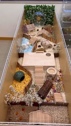 a display case filled with lots of different types of plants and animals on top of each other