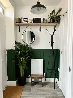 a room with green walls and plants on the shelves, along with a radiator