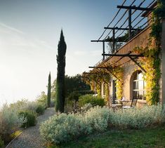 an outside view of a house with some plants and trees on the side of it