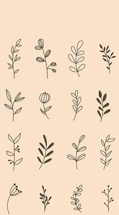 a bunch of plants that are drawn in black ink on a beige paper with the words,