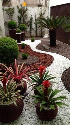 some plants and rocks are in the middle of a garden with white pebbles on the ground