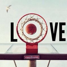 a basketball hoop with the word love above it and a bird flying by in the background