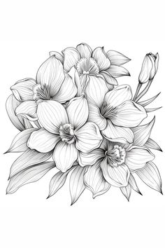 Coloring book flowers of the world vol.3 - pr Coloring Book Flowers, Bouquet Drawing, Flower Bouquet Drawing, Book Page Flowers, Free Adult Coloring Printables, Ink Flowers, Adult Colouring Printables, 2024 Planner, Grayscale Coloring Books