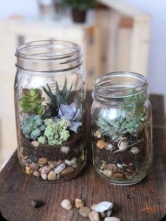 two mason jars filled with succulents and rocks on top of a wooden table