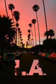 cars parked in front of palm trees and the word la on it's side