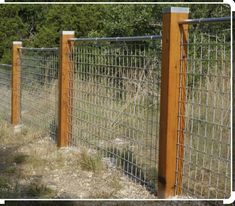 an image of a fence that is in the middle of some grass and dirt with trees in the background