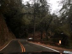 a car driving down a road next to a forest filled with lots of tall trees