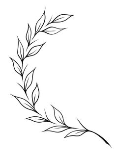 a black and white drawing of a branch with leaves in the center, on a white background