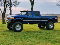 a blue pickup truck parked on top of a lush green field next to a tree