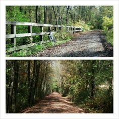 two pictures of a dirt road in the woods