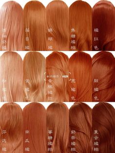 orange hair colors women hairstyle xiaohongshu Orange Hair Colors, Long To Short Haircut, Orange Hair Dye, Ginger Hair Dyed, Red Orange Hair, Cheveux Oranges, Shades Of Red Hair, Hair Color Orange, Strawberry Blonde Hair Color