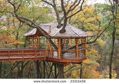 a tree house in the middle of a forest