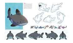 an image of various types of sharks