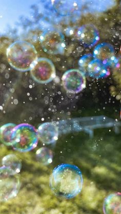 soap bubbles are floating in the air on a sunny day